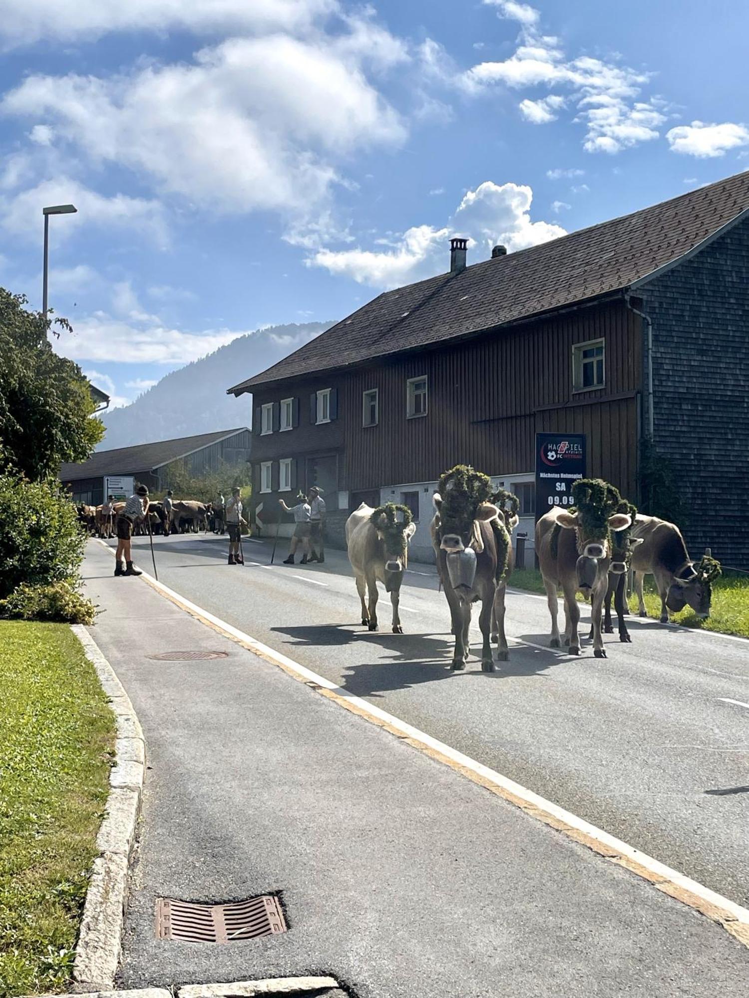 Zu Gast Bei Den Hagspiels Lejlighed Hittisau Eksteriør billede